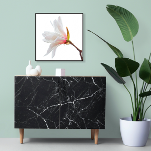 Decorativo FineArt - Bela-Flor