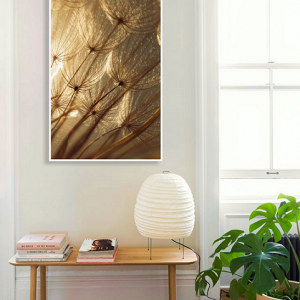 Decorativo FineArt Dente-de-Leão - Resplandecer