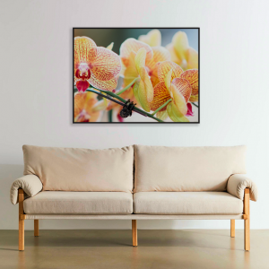 Decorativo FineArt Orquídea - Delicadeza