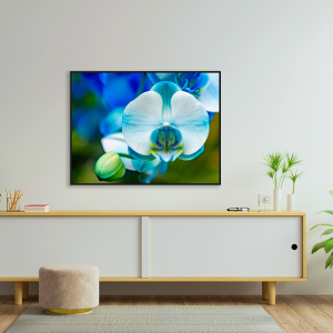 Decorativo FineArt Orquídea - Resiliência