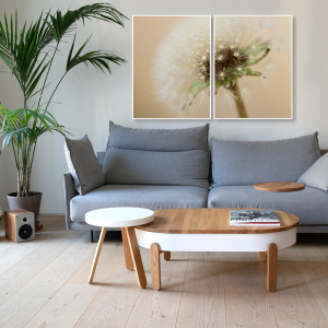 Decorativo FineArt Dente-de-Leão - Simplicidade