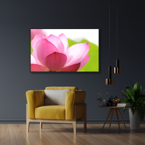 Decorativo FineArt - Evidência Pétalas Cor de Rosas