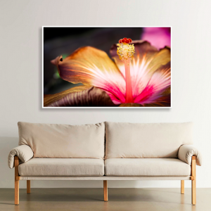 Decorativo FineArt - Hibisco