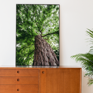 Decorativo FineArt - Árvore