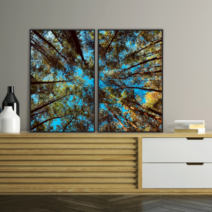 Decorativo FineArt - Copas de Árvores no Céu Celeste