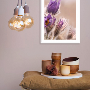 Decorativo FineArt - Coleção o Tempo é Agora - Contemplar