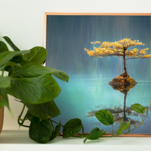 Decorativo FineArt - Calmaria da Vida